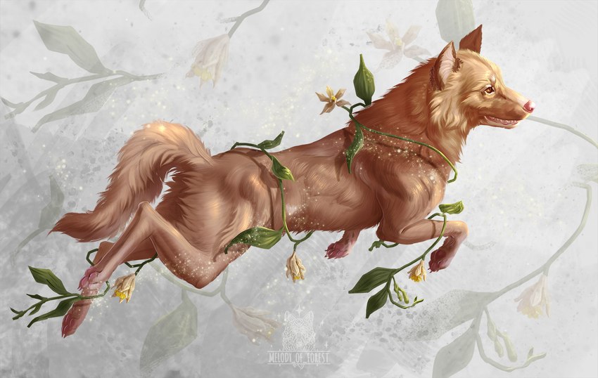 ambiguous_feral ambiguous_gender digitigrade feral flower fur plant quadruped solo tan_body tan_fur melodyofforest canid canine canis mammal wolf