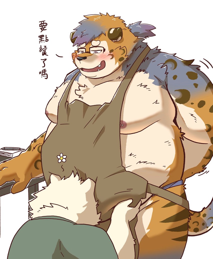 anthro apron belly big_belly blush clothing duo eyewear glasses kemono male moobs nipples overweight overweight_male text hon55728 bear felid mammal pantherine tiger 2024 chinese_text hi_res