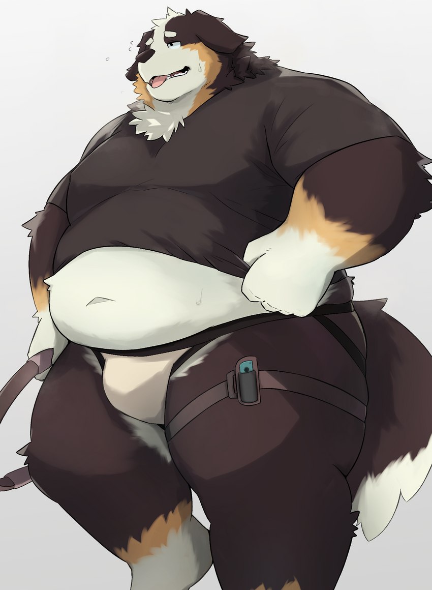 anthro belly big_belly black_body black_nose brown_body bulge clothing jockstrap kemono male overweight overweight_male shirt simple_background solo t-shirt topwear underwear white_body noctnoc nintendo nintendo_switch ring_fit_adventure bernese_mountain_dog canid canine canis domestic_dog mammal molosser mountain_dog swiss_mountain_dog 2023 hi_res