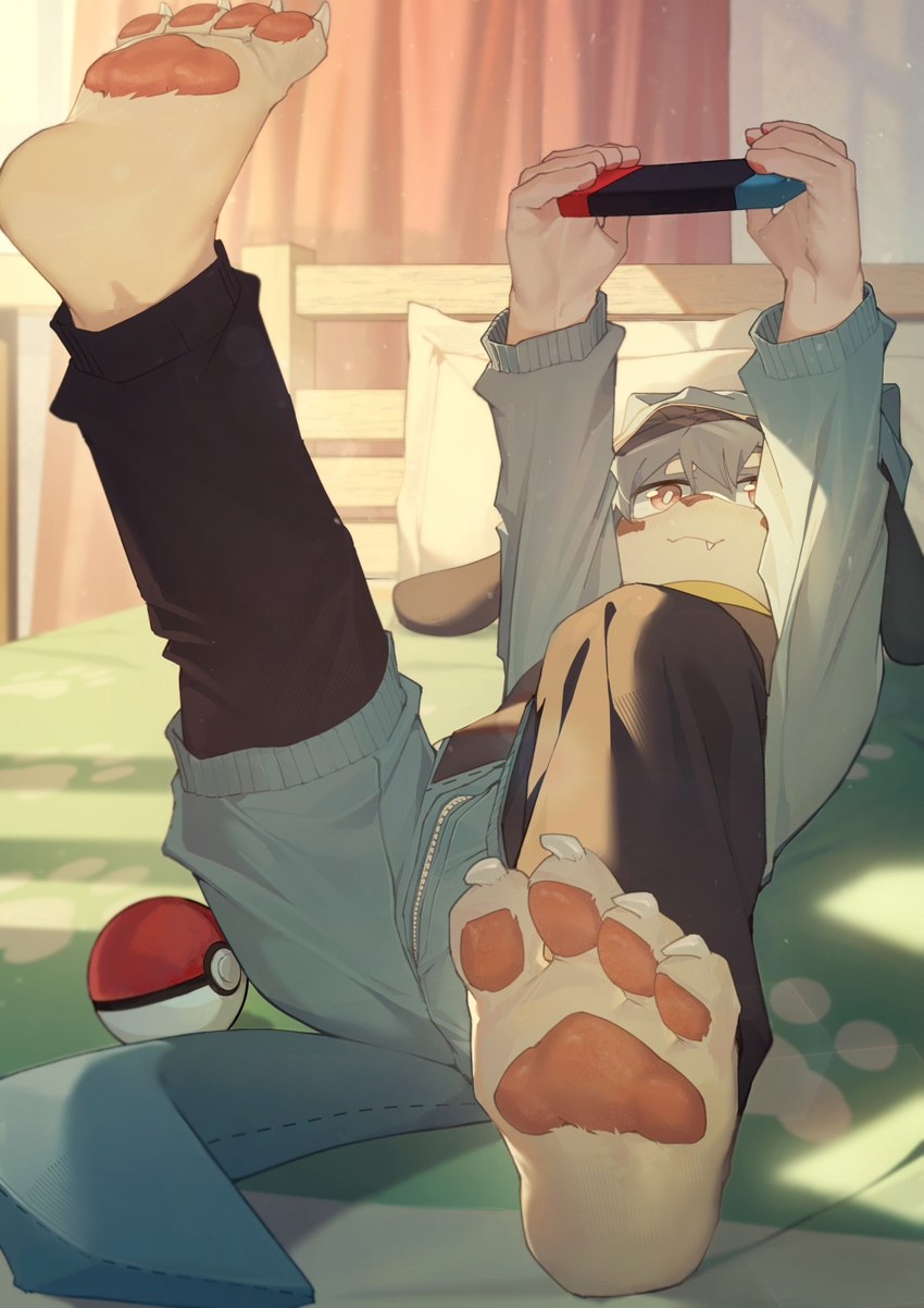 4_toes anthro barefoot bedroom bottomwear closed_smile clothing cosplay electronics feet foot_focus game_console handheld_console headgear headwear hindpaw holding_switch kemono lying male mouth_closed on_back one_leg_up pants pawpads paws plantigrade plantigrade_pawpads pokeball raised_leg shota smile soles solo switch_console toes young toye2004 nintendo nintendo_switch pokemon canid canine canis domestic_dog generation_4_pokemon mammal pokemon_(species) riolu hi_res