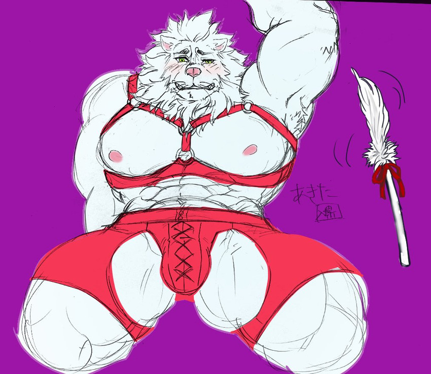 abs anthro armpit_hair blush body_hair cat_toy clothing embarrassed fur leather lingerie male muscular muscular_male nipples pecs solo white_body white_fur irura0323 lifewonders tokyo_afterschool_summoners snow_(tas) felid lion mammal pantherine