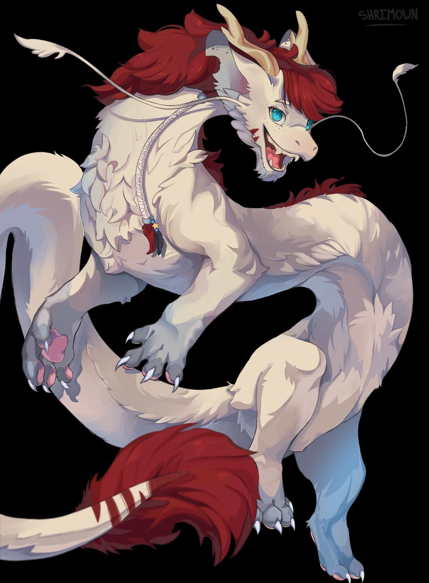 3_toes 4_fingers 4_toes barbel_(anatomy) blue_eyes braided_hair cheek_tuft chest_tuft claws cute_fangs facial_tuft fangs feet feral fingers flesh_whiskers fur hair horn inner_ear_fluff male mane notched_ear open_mouth open_smile pawpads paws pink_pawpads red_hair simple_background smile solo tail tail_tuft teeth toe_claws toes tongue transparent_background tuft whisker_tuft whiskers white_body white_fur shrimown mythology dragon eastern_dragon furred_dragon furred_scalie mythological_creature mythological_scalie scalie 2024 absurd_res alpha_channel hi_res