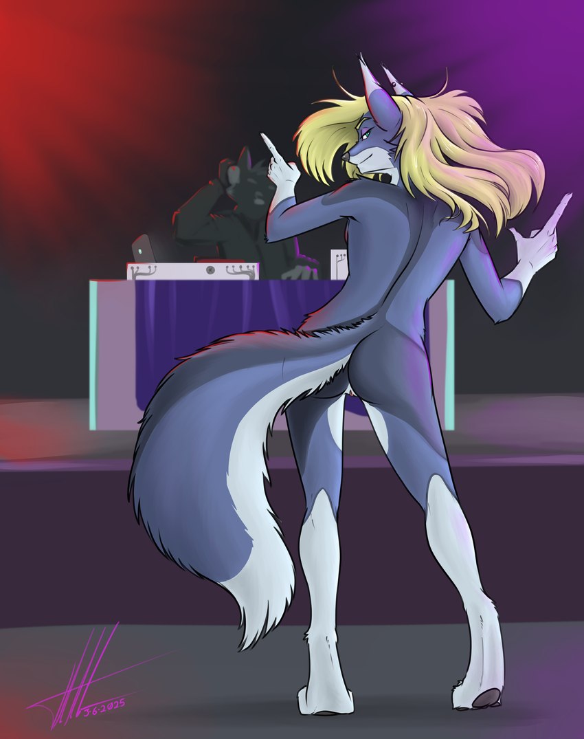 anthro blonde_hair blue_body blue_fur butt dancing dipstick_ears ear_markings female fur genitals hair multicolored_ears nude pussy rear_view solo tail commandercross charity_cross canid canine canis mammal wolf absurd_res hi_res