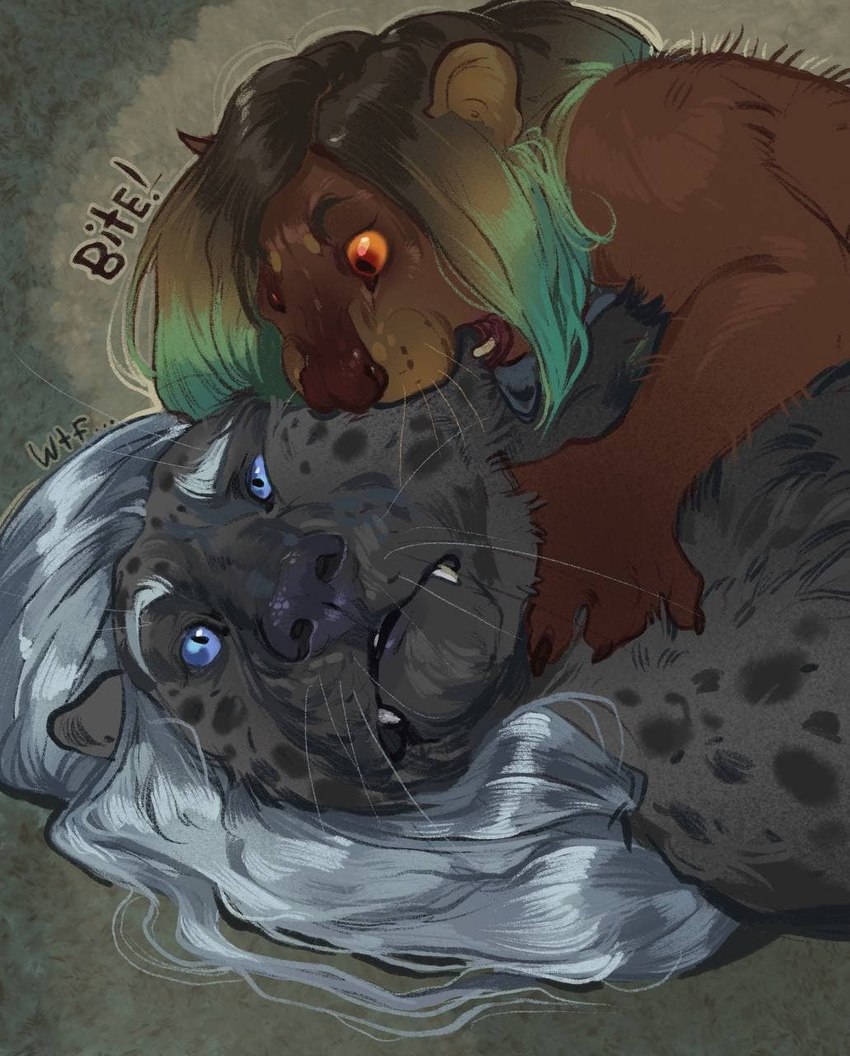 bite blue_eyes brown_body brown_fur duo fur grey_body grey_fur orange_sclera red_eyes fossa666 bagheera_(fursona) euplerid felid fossa leopard mammal pantherine 2021 digital_media_(artwork) hi_res