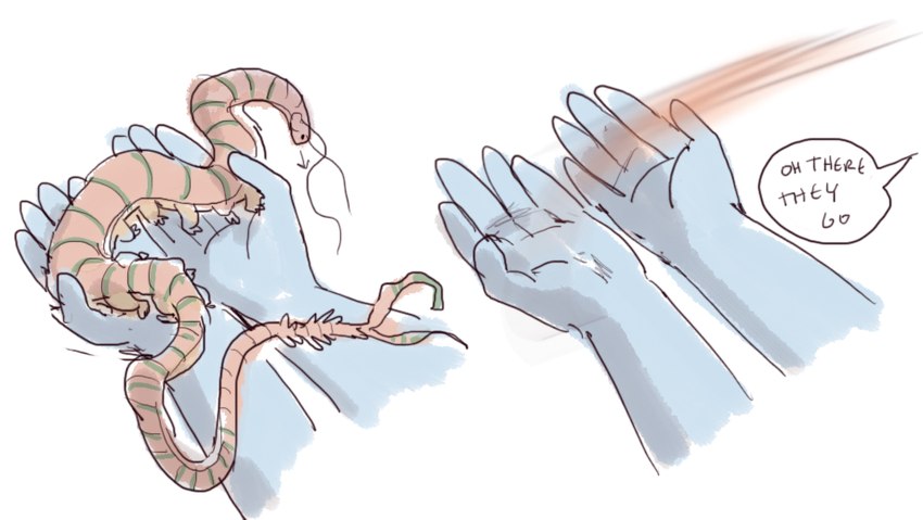 5_fingers ambiguous_gender antennae_(anatomy) duo feral fingers motion_blur solo speech_bubble text iguanamouth mythology arthropod centipede dragon hybrid myriapod mythological_creature mythological_scalie scalie english_text multiple_images multiple_scenes