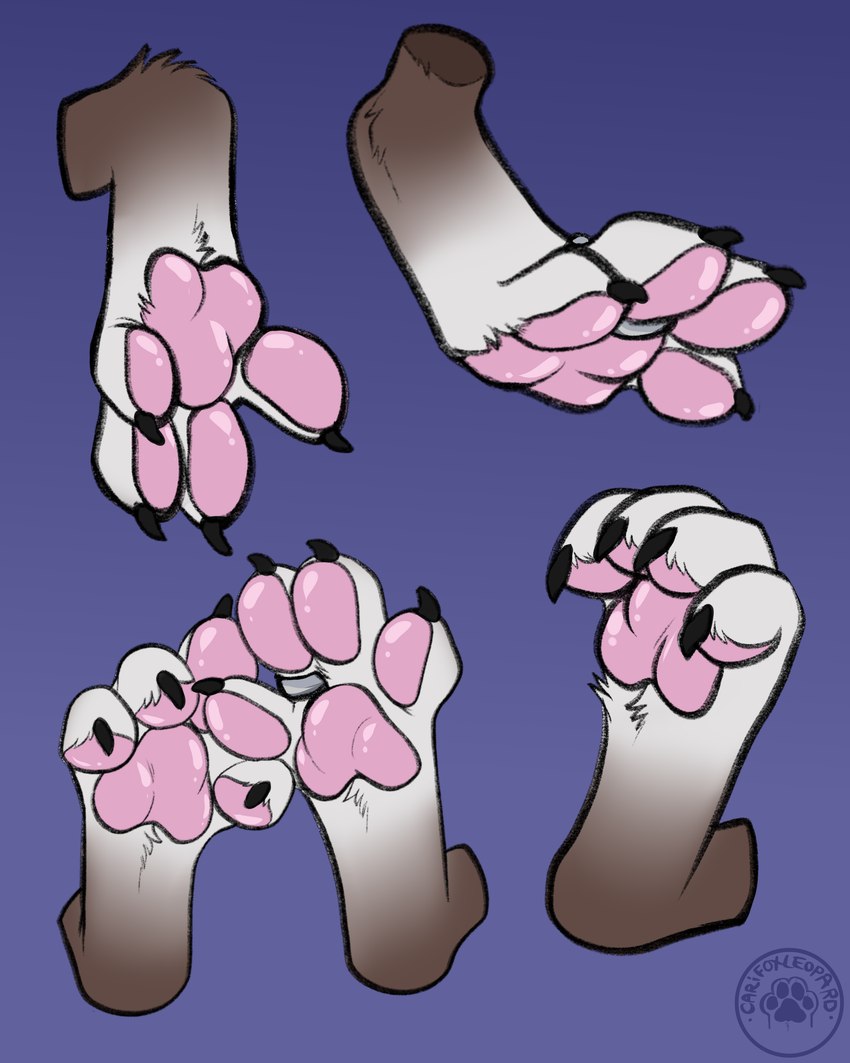 4_toes ambiguous_gender anthro claws curling_toes digit_ring digitigrade disembodied_foot entwined_toes feet foot_focus foot_shot fur jewelry nails pawpads paws pink_pawpads presenting purple_background raised_paw ring simple_background soles solo spread_toes toe_claws toe_ring toenails toes white_paws carifoxleopard jerryfox canid canine fox grey_fox mammal urocyon 2024 4:5 absurd_res colored digital_drawing_(artwork) digital_media_(artwork) hi_res shaded signature widescreen