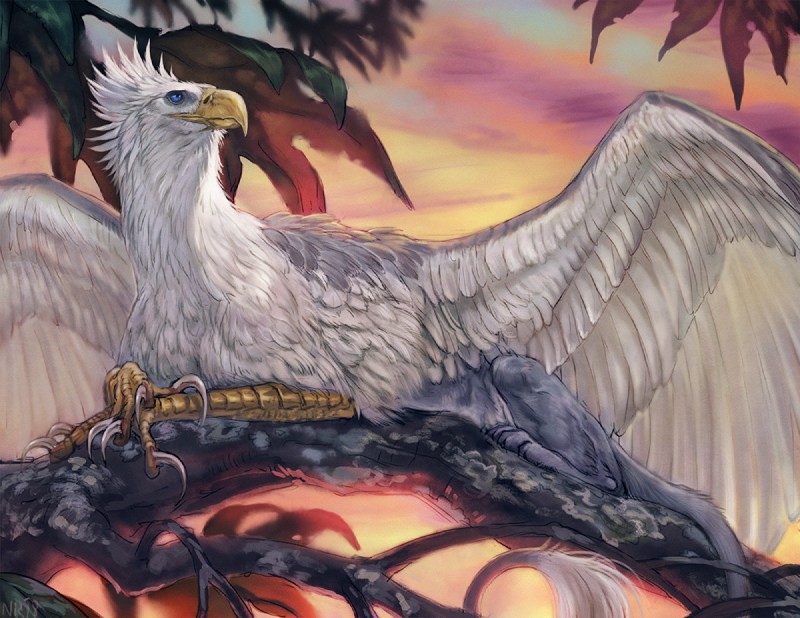 ambiguous_gender beak claws day detailed_background feathered_wings feathers feral in_tree lying outside perching plant sky solo tree white_body white_feathers wings yellow_beak nukerooster mythology avian gryphon mythological_avian mythological_creature 2018 digital_media_(artwork)