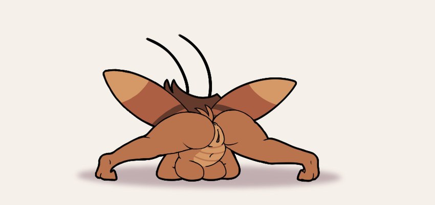 2_toes antennae_(anatomy) anthro anus ass_up breasts brown_body brown_hair butt feet female hair insect_wings jack-o'_pose medium_breasts navel nude pose rear_view shadow simple_background solo tail thick_thighs toes white_background wings lewdnova rachie_(imbynova) arthropod blattodea cockroach insect 2022 digital_media_(artwork) hi_res