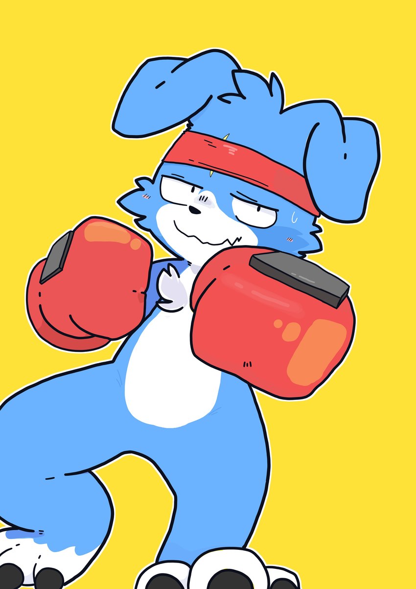 accessory anthro blue_body blue_fur boxing_gloves claws clothing fur handwear headband male punch simple_background solo yellow_background tinntira bandai_namco digimon canid canine digimon_(species) gaomon mammal absurd_res hi_res