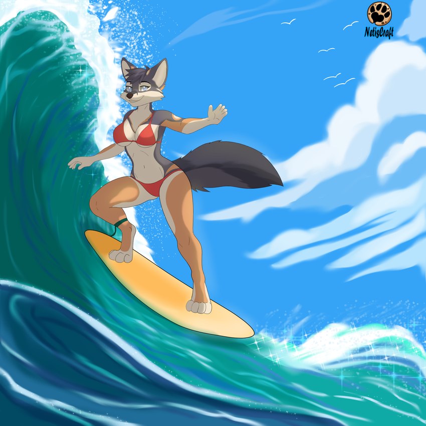 anthro bikini blue_water clothing cloud female red_bikini red_clothing red_swimwear sea solo surfboard surfer surfing swimwear two-piece_swimsuit water wave netiscraft harper_(nicnak044) canid canine fox mammal 1:1 hi_res