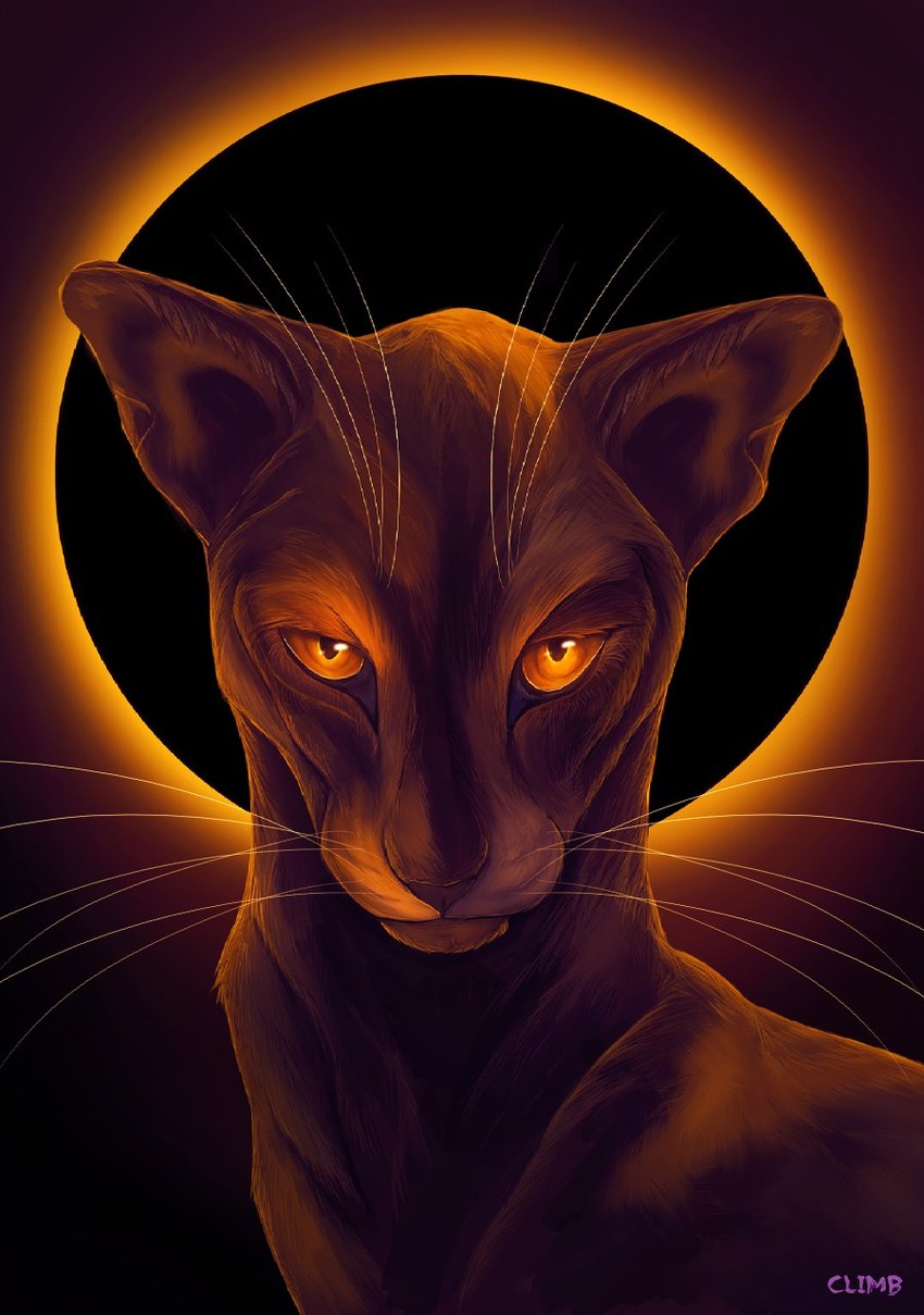 ambiguous_gender eclipse feral fur glowing glowing_eyes looking_at_viewer multicolored_body multicolored_fur orange_eyes solar_eclipse solo whiskers climbtothestars warriors_(book_series) sol_(warriors) domestic_cat felid feline felis mammal tortoiseshell_cat 2016 dark_theme detailed digital_media_(artwork) digital_painting_(artwork) hi_res portrait shaded warm_colors male_(lore)