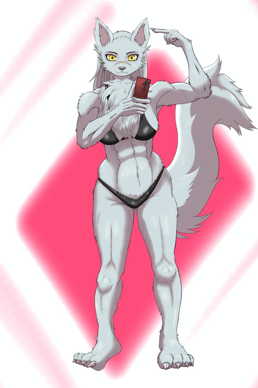 abs anthro big_tail bottomwear bra breasts clothing electronics facial_scar female footwear front_view grey_body long_boots muscular muscular_anthro muscular_female phone pose scar selfie solo tail underwear yellow_eyes bsan94 velvela canid canine canis mammal wolf hi_res