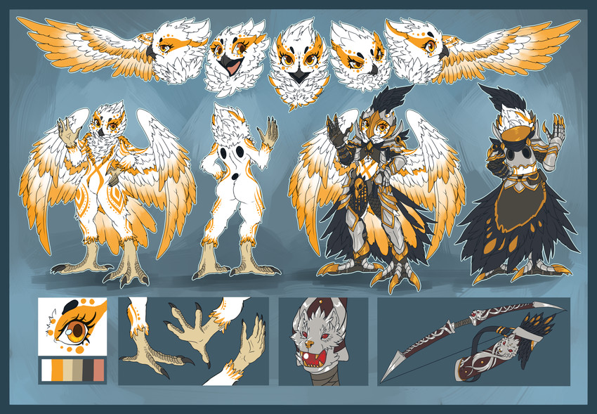 anthro armor blue_border border bow_(weapon) feathered_wings feathers female ranged_weapon solo tail tail_feathers weapon wings quirachen estal_oreco_(character) avian bird owl absurd_res hi_res model_sheet