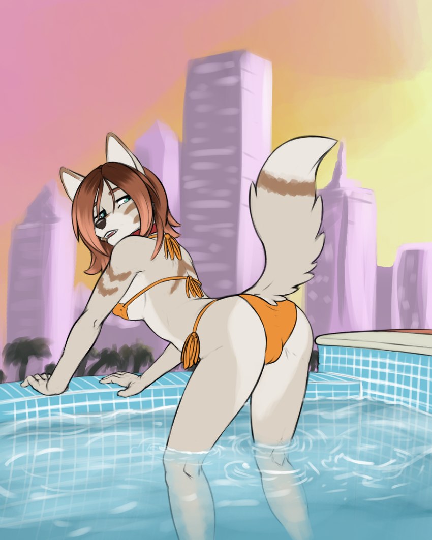 anthro bent_over bikini bikini_bottom bikini_top breasts camel_toe clothed clothing collar female fur hair outside solo swimwear tail two-piece_swimsuit seff_(artist) winter_(foxyneko) canid canine canis mammal wolf 2023 4:5 digital_media_(artwork) hi_res