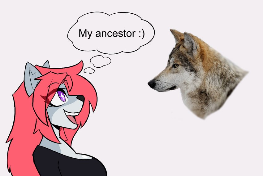 anthro big_breasts breasts clothing countershade_face countershading female fur grey_body grey_countershading grey_fur hair looking_up open_mouth pink_hair purple_eyes real red_hair simple_background text lemondude my_ancestor! serena_(lemondude) canid canine canis mammal wolf 3:2 english_text