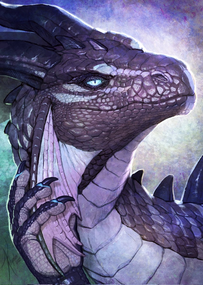 ambiguous_gender black_horn blue_eyes cheek_frill feral grey_body grey_scales horn mouth_closed pupils scales slit_pupils solo white_body white_frill white_scales khyaber mythology dragon mythological_creature mythological_scalie scalie hi_res