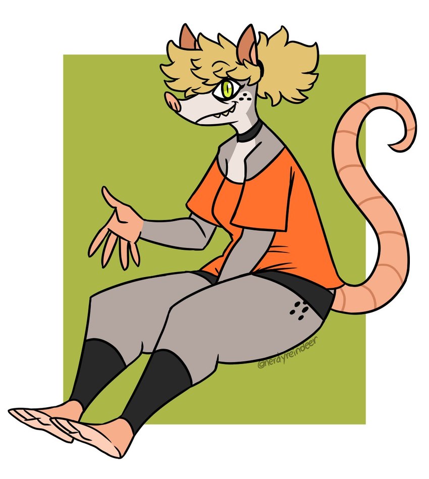 anthro bare_shoulders blonde_hair bottomwear choker clothing countershading feet female freckles green_eyes grey_body hair jewelry necklace shirt shorts sitting smile soles solo t-shirt topwear white_body white_countershading nerdyreindeer american_opossum mammal marsupial hi_res