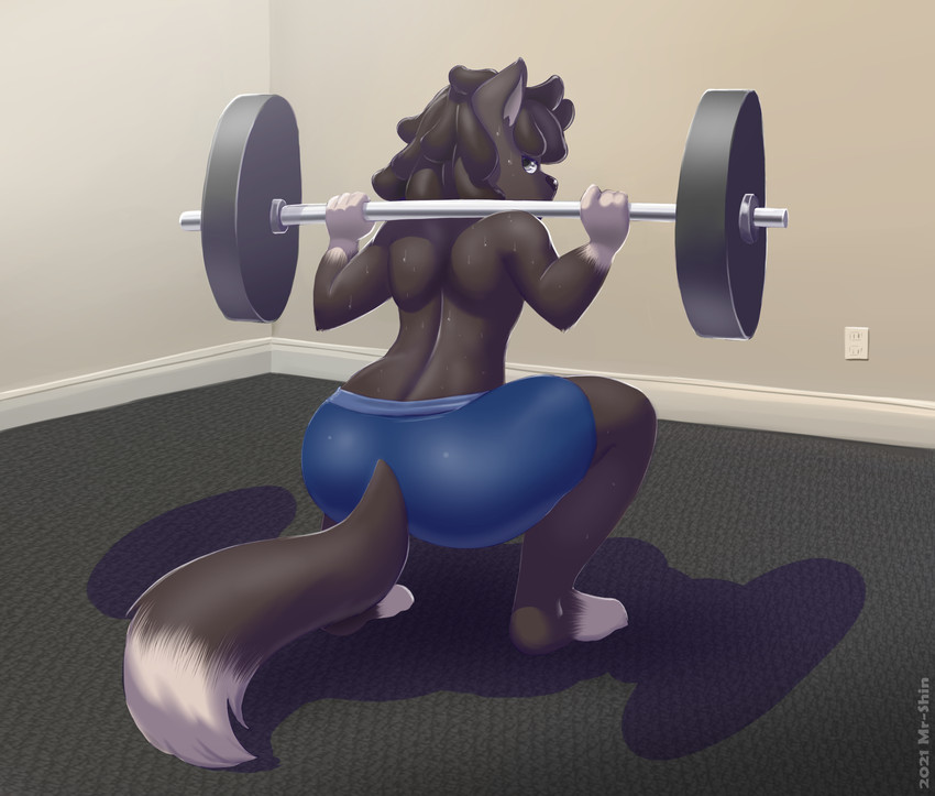 4_fingers anthro barbell black_nose blue_bottomwear blue_clothing blue_shorts bodily_fluids bottomwear brown_body brown_fur brown_hair clothed clothing crouching dipstick_tail dreadlocks exercise fingers fur furgonomics grey_eyes hair holding_object inside looking_back looking_up male markings multicolored_tail rear_view shorts solo sweat tail tail_markings topless weightlifting white_body white_fur workout mr-shin lei_long canid canine canis mammal wolf 2021 hi_res