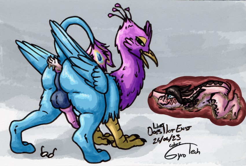 anal anal_vore anthro anthro_prey avian_feet balls beak blue_body feathered_crest feathered_wings feathers female female_prey feral feral_pred genitals green_eyes guts head_crest inside_colon internal intestines knot male male_penetrated male_pred organs paws penetration penis pink_body quadruped tail tail_tuft tuft vore wings doesnotexist gyrotech mythology gyro_feather avian bird galliform gryphon kobold mythological_avian mythological_creature peafowl phasianid scalie hi_res