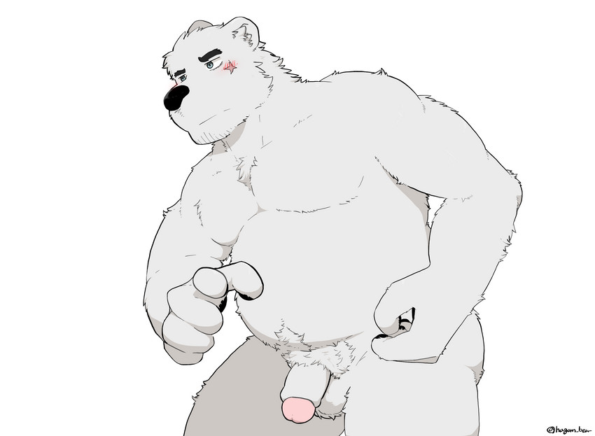 anthro balls belly blush flaccid foreskin fur genitals humanoid_genitalia humanoid_hands humanoid_penis kemono male moobs nude overweight overweight_anthro overweight_male penis retracted_foreskin simple_background solo white_background white_body white_fur hagom bear mammal polar_bear ursine 2020 hi_res