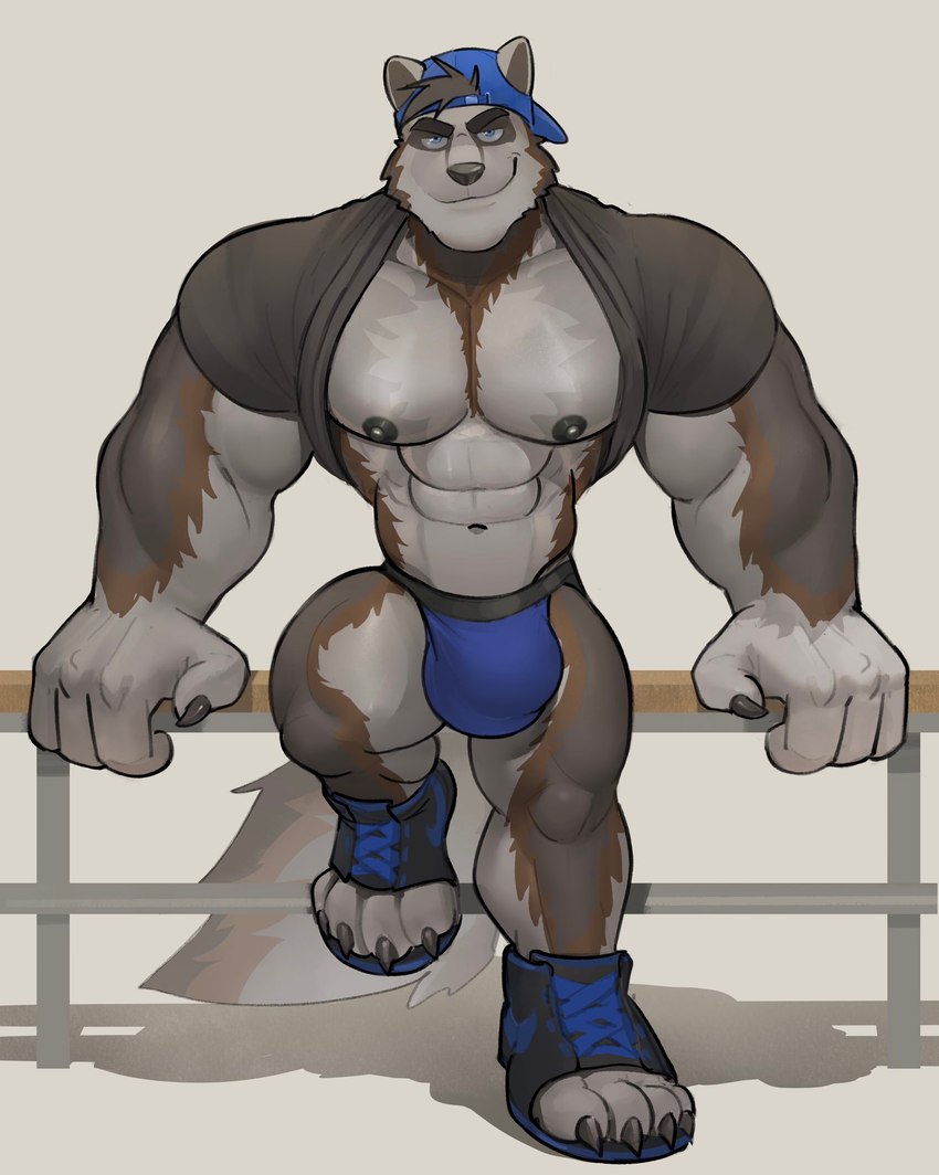 abs anthro arm_support black_nipples blue_clothing blue_eyes blue_underwear bulge claws clothed clothing footwear hat headgear headwear jockstrap leaning leaning_backward male muscular muscular_anthro muscular_male nipples partially_clothed presenting railing raised_clothing raised_shirt raised_topwear shadow shirt shoes simple_background sitting_on_railing smile smug sneakers solo standing topwear underwear kenkudog mythology styrling canid canine gulonine hybrid mammal mustelid musteline mythological_canine mythological_creature werecanid werecanine werecreature werewolf wolverine 2022 hi_res