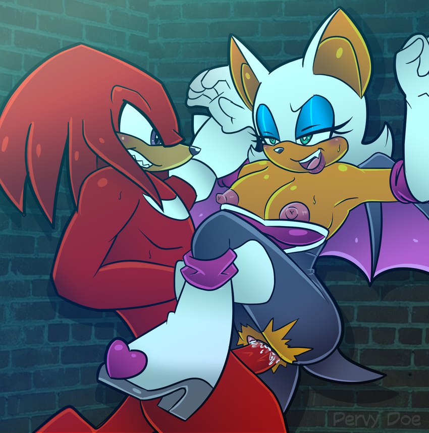knuckles the echidna and rouge the bat (sonic the hedgehog (series) and etc) created by millowdoe