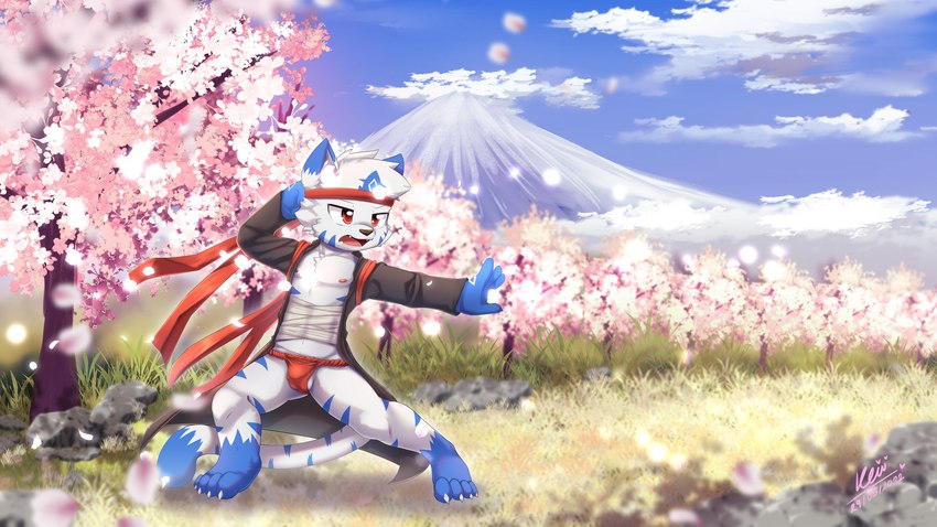 accessory action_pose anthro asian_clothing balls barely_visible_balls barely_visible_genitalia blue_sky blue_stripes blurred_foreground brown_nose bulge casual_exposure cherry_blossom cherry_blossom_tree cherry_tree chest_wraps claws clothed clothing cloud day detailed_background east_asian_clothing falling_petals flower front_view fruit_tree fundoshi genitals grass hair headband japanese_clothing leg_markings male markings martial_arts mount_fuji mountain nipples open_clothing open_mouth open_robe outside petals plant plantigrade pose prunus_(flower) red_clothing red_eyes red_fundoshi red_headband red_underwear robe rock serious shota sky socks_(marking) solo stripes tree treeline underwear white_claws white_hair wide_stance wind wraps young young_anthro young_male kewkungzn yuuto_(shinotorayuto) felid mammal pantherine tiger 16:9 2022 full-length_portrait hi_res portrait widescreen