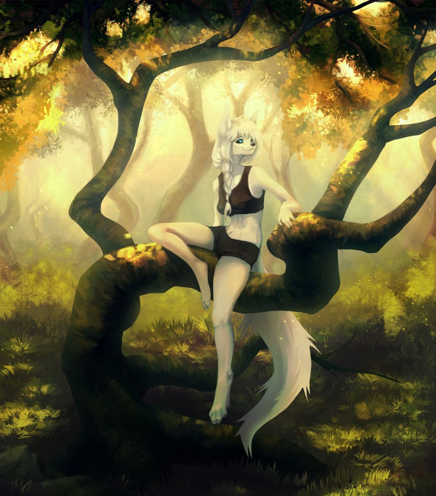 anthro black_clothing blue_eyes clothing female forest hair plant ponytail smile solo tree white_hair detrimentum_touru alice_destiny arctic_fox canid canine fox mammal true_fox hi_res