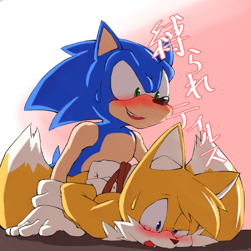 miles prower and sonic the hedgehog (sonic the hedgehog (series) and etc) created by giga (artist)
