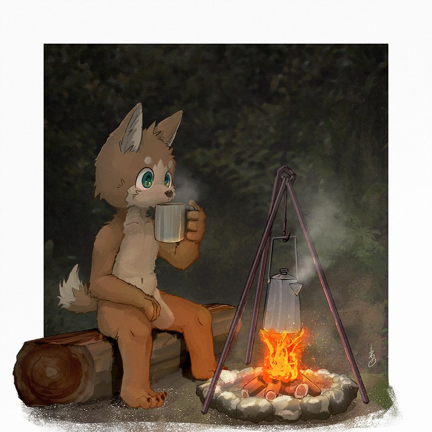 4_fingers 4_toes anthro border brown_body brown_fur campfire camping claws container cup eyebrows feet fingers fire fur green_eyes holding_container holding_cup holding_mug holding_object kettle male mug navel nude_male outside rock sitting sitting_on_log solo steam tail tan_body tan_fur toes white_border wood young young_anthro young_male isamatu canid canine canis domestic_dog mammal 1:1