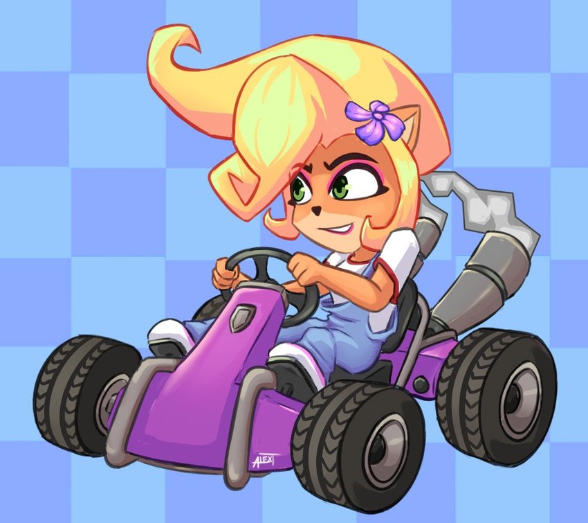 accessory anthro blonde_hair clothing female flower flower_in_hair footwear green_eyes hair hair_accessory kart long_hair plant simple_background smile solo vehicle alex-toons activision crash_bandicoot_(series) coco_bandicoot bandicoot mammal marsupial 2019 signature