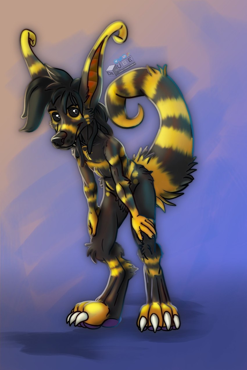 black_body black_fur black_nose black_sclera digitigrade fur grey_eyes long_ears male markings ring_(marking) ringed_tail striped_markings striped_tail stripes tail tail_markings teeth_showing yellow_markings drqube crux 2:3 hi_res sketch unfinished