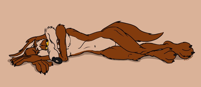 3_toes 4_fingers anthro arm_tuft athletic bedroom_eyes belly biped black_eyes brown_body brown_fur calf_tuft casual_nudity chest_tuft claws crossed_arms elbow_tuft featureless_crotch feet finger_claws fingers fur glance half-closed_eyes head_on_arm knee_tuft leg_tuft looking_at_viewer lying male multicolored_body multicolored_fur narrowed_eyes navel nude on_side pecs pose resting resting_head ribs seductive shoulder_tuft simple_background skinny small_waist smile smiling_at_viewer tan_background tan_belly tan_body tan_fur thick_thighs thigh_tuft tired toe_claws toe_tuft toes torso tuft two_tone_body two_tone_fur vein wasp_waist wide_hips yellow_sclera stevethedragon looney_tunes warner_brothers wile_e._coyote canid canine canis coyote mammal 2021 colored dated detailed digital_drawing_(artwork) digital_media_(artwork) flat_colors pinup signature