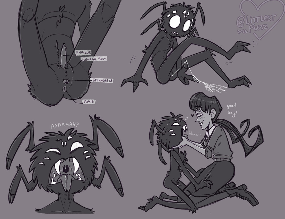 2_toes 3_fingers adolescent adolescent_anthro age_difference animal_genitalia anthro anus arm_tuft arthropod_webbing bangs biped black_body black_fur black_hair bodily_fluids boots bottomwear butt chest_tuft claws clothed clothed/nude clothed_female clothed_human clothed_human_nude_anthro clothing crotch_tuft diagram dialogue drooling duo elbow_tuft empty_eyes erection fangs feet female female_on_anthro finger_claws finger_in_mouth fingers footwear forked_tongue fur genital_fluids genital_slit genitals good_boy grey_background hair head_arms human_on_anthro interspecies knee_tuft kneeling larger_female larger_human leaking_precum leg_grab leg_tuft lidded_eyes lips long_hair looking_at_another looking_at_partner male male/female male_on_human mawplay mouth_shot multi_eye multiple_poses narrowed_eyes nude nude_anthro nude_male older_female older_human open_mouth pale_skin penis pigtails plantigrade pose precum saliva shoes simple_background sitting size_difference skinny_anthro skinny_male skirt smaller_anthro smaller_male smile spinneret spread_legs spreading squint submissive submissive_anthro submissive_male sweater tapering_penis teeth thigh_grab toe_claws toes tongue tongue_out topwear tuft uvula young young_male younger_anthro littlestfuzz don't_starve klei_entertainment webber willow_(don't_starve) arachnid arthropod human mammal spider 2024 digital_drawing_(artwork) digital_media_(artwork) greyscale monochrome