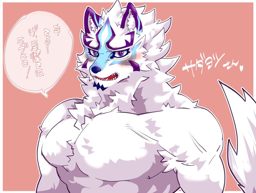 anthro blue_eyes blush embarrassed facial_markings fur head_markings male markings muscular muscular_anthro muscular_male pecs shirtless solo text white_body white_fur pyc6zncwf9uvnpf lifewonders live_a_hero sadayoshi canid canine mammal hi_res japanese_text